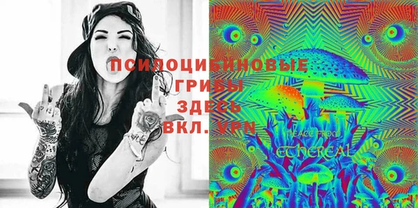 бошки Осташков