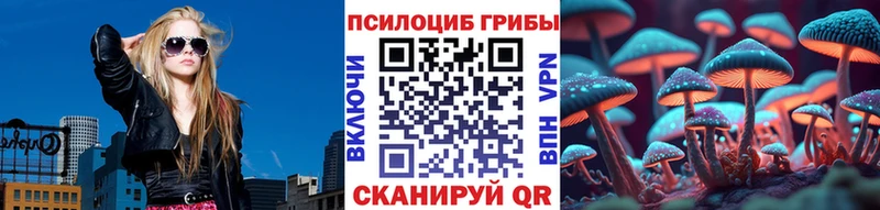 Псилоцибиновые грибы мицелий Усть-Лабинск