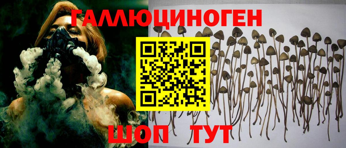 Усть-Лабинск  Псилоцибиновые грибы ЛСД  Вход с VPN 