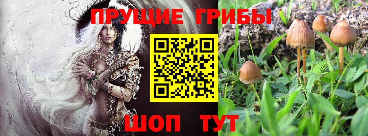 Псилоцибиновые грибы Magic Shrooms Усть-Лабинск